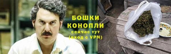 твердый Богданович