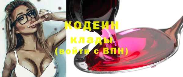 твердый Богданович