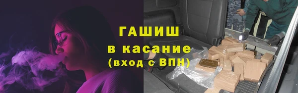 твердый Богданович