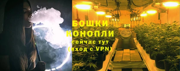 твердый Богданович